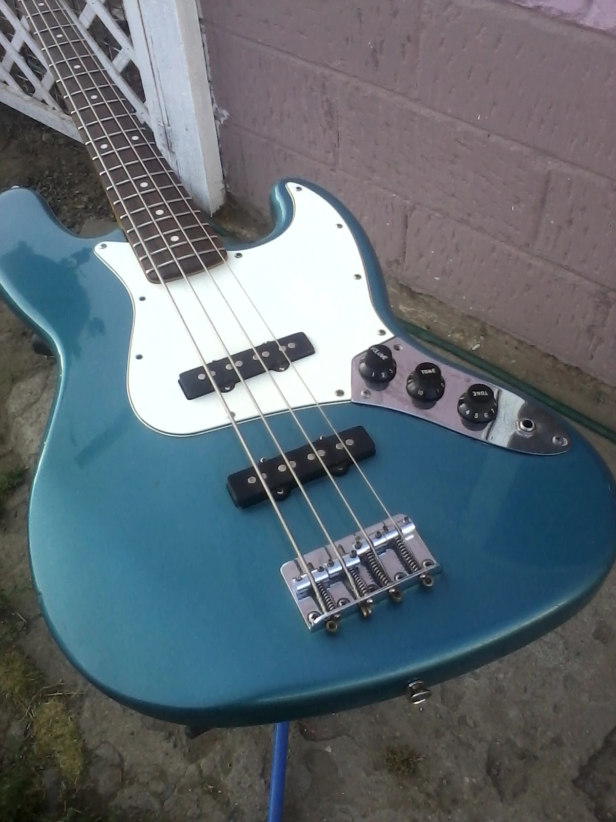 Palm Tree Guitars